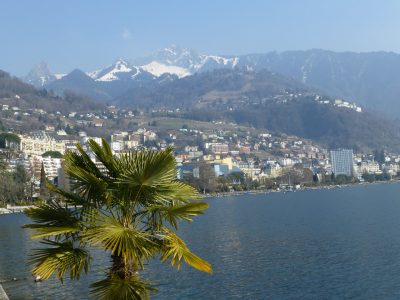 exif-2021-03-07-12-00-6.jpg