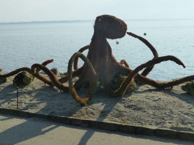 exif-2021-03-07-12-00-9.jpg