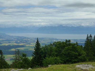 exif-2021-07-05-12-00-14.jpg