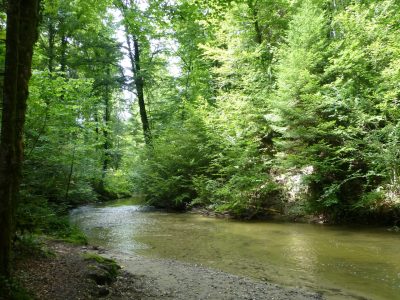 exif-2021-08-09-12-00-8.jpg