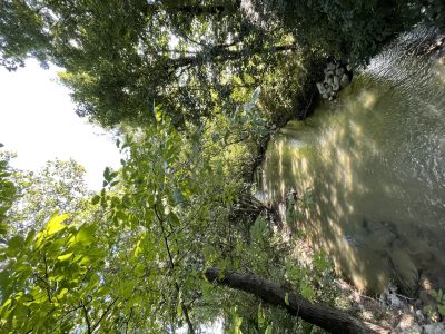exif-2021-09-06-12-00-17.jpg