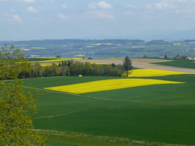 exif-2022-05-02-12-00-17.jpg