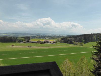 exif-2022-05-02-12-00-28.jpg