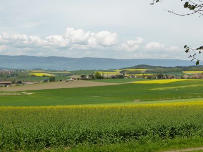 exif-2022-05-02-12-00-31.jpg