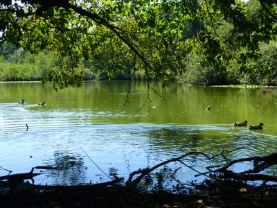 exif-2022-08-08-12-00-7.jpg