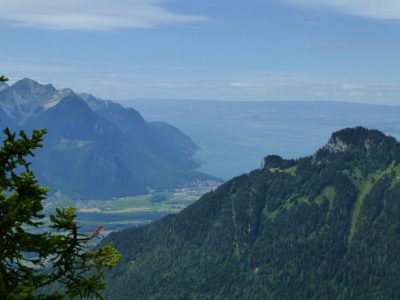 exif-2023-08-09-12-00-4.jpg