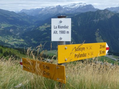 exif-2023-08-09-12-00-9.jpg