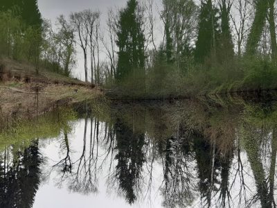 exif-2024-04-08-12-00-4.jpg