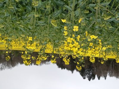 exif-2024-04-08-12-00.jpg
