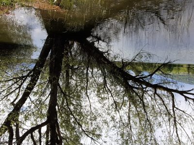 exif-2024-05-13-12-00-10.jpg