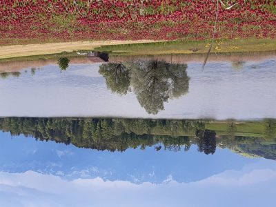 exif-2024-05-13-12-00-16.jpg