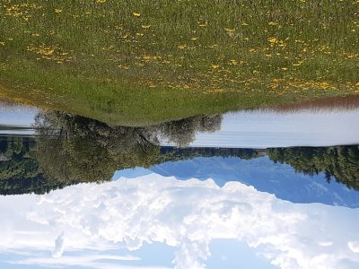 exif-2024-05-13-12-00-4.jpg