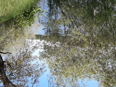 exif-2024-05-13-12-00-6.jpg