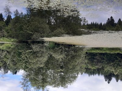 exif-2024-07-01-12-00-2.jpg