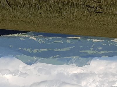 exif-2024-07-01-12-00-8.jpg