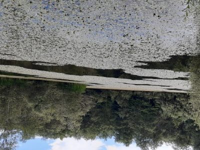exif-2024-07-01-12-00.jpg