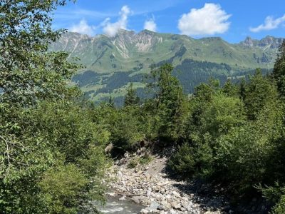 exif-2024-08-05-12-00-17.jpg