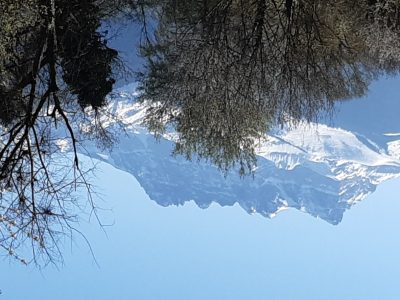 exif-2025-04-07-12-00-2.jpg