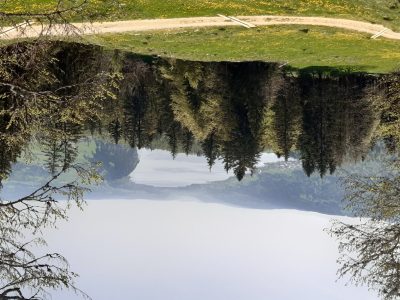exif-2025-05-02-12-00-5.jpg