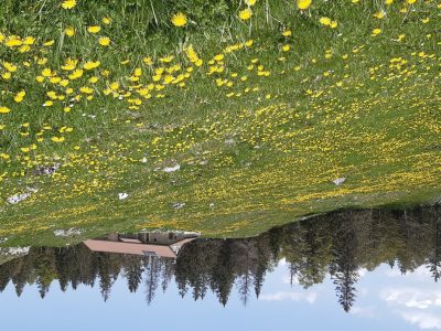 exif-2025-05-02-12-00-7.jpg