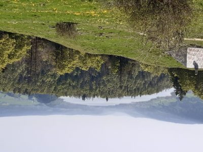exif-2025-05-02-12-00.jpg