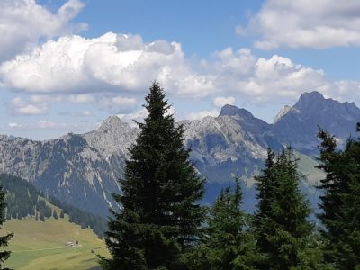 exif-2025-07-11-12-00-10.jpg