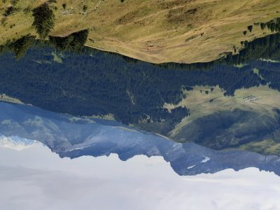 exif-2025-07-21-12-00-11.jpg