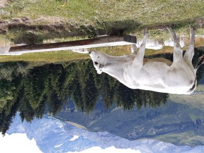 exif-2025-07-21-12-00-19.jpg