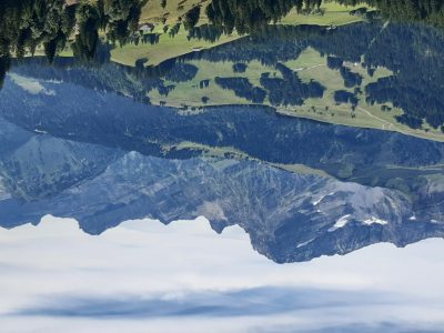 exif-2025-07-21-12-00-23.jpg