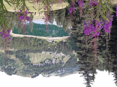 exif-2025-07-21-12-00-3.jpg