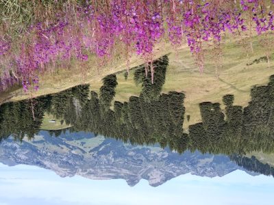 exif-2025-07-21-12-00-4.jpg