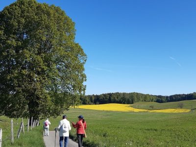 exif-2026-04-24-11-35-2.jpg
