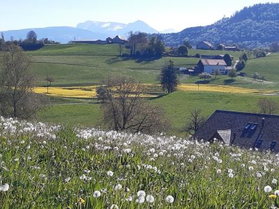 exif-2026-04-24-11-35-5.jpg