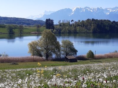 exif-2026-04-24-11-35-6.jpg