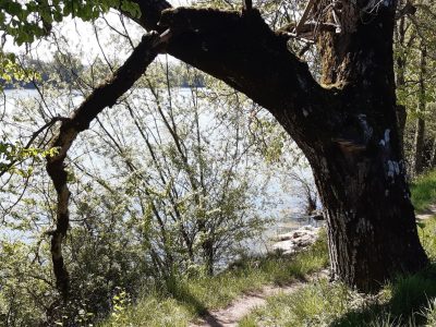 exif-2026-04-24-11-36-2.jpg