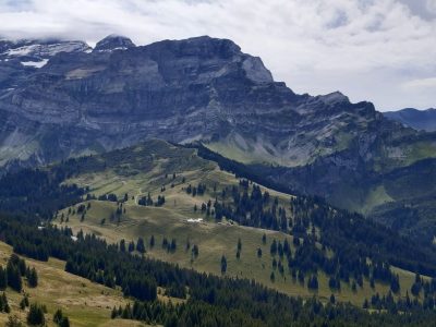 exif-2025-07-21-12-00-9.jpg