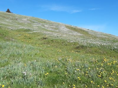 exif-2026-05-11-20-16-3.jpg