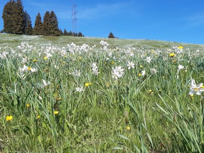 exif-2026-05-11-20-16-4.jpg