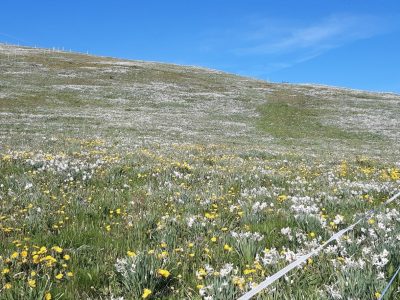 exif-2026-05-11-20-16-5.jpg