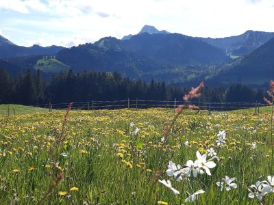 exif-2026-05-11-20-16-7.jpg