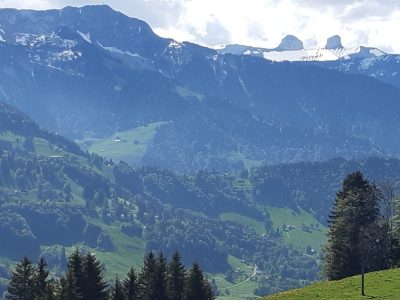 exif-2026-05-11-20-17-5.jpg