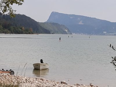 exif-2026-08-03-18-40-3.jpg