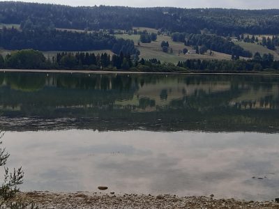 exif-2026-08-03-18-40.jpg