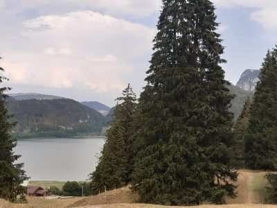 exif-2026-08-03-18-41-13.jpg