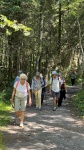 2024-08-05_marche-foret0.jpg