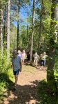 2024-08-05_marche-foret1.jpg